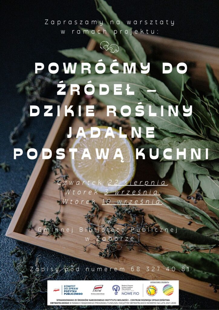 Warsztaty - Dzikie rośliny podstawą kuchni